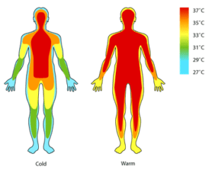 14 Health Benefits of Infrared Heat (& How to Use)